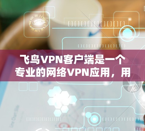 飞鸟VPN客户端是一个专业的网络VPN应用，用户可以通过它访问来自全球的互联网服务，以保护个人数据的安全。以下是对该应用的详细介绍