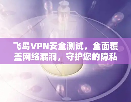 飞鸟VPN安全测试，全面覆盖网络漏洞，守护您的隐私和安全