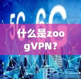 什么是zoogVPN？
