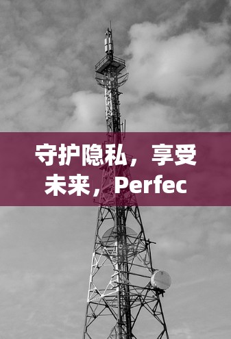 守护隐私，享受未来，Perfect Privacy使用指南