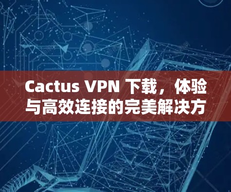 Cactus VPN 下载，体验与高效连接的完美解决方案