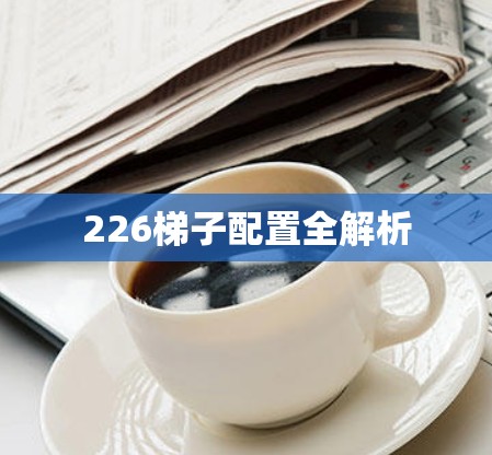 226梯子配置全解析