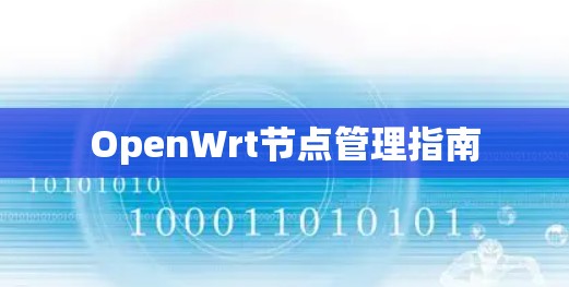 OpenWrt节点管理指南