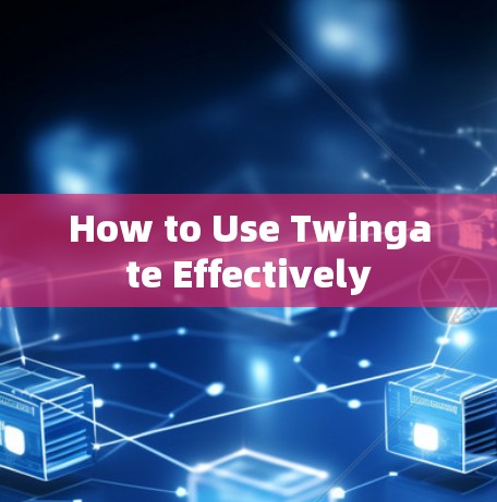 How to Use Twingate Effectively