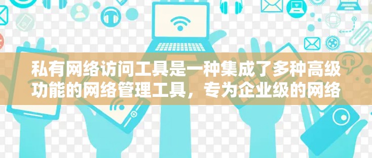 私有网络访问工具是一种集成了多种高级功能的网络管理工具，专为企业级的网络访问需求而设计。以下是对这些工具的详细分类和概述