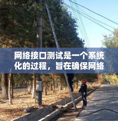 网络接口测试是一个系统化的过程，旨在确保网络设备能够正常工作。以下是详细的步骤指南